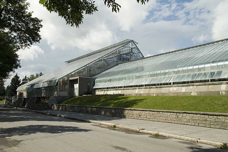 montreal_102