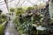montreal_091