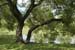 montreal_096