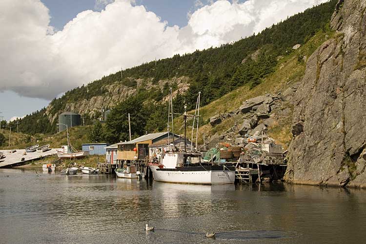 Nwfndlnd_064_quidi-vidi1