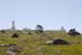 Nwfndlnd_074_pt-spear7